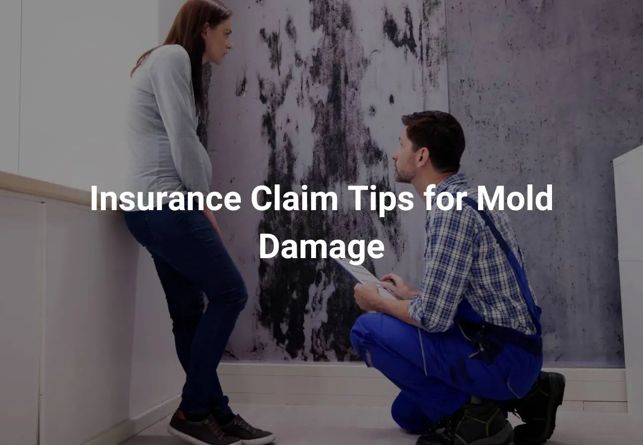 Home Warranty Mold Coverage 2025: What’s Covered and What’s Not 1 Home Warranty Mold Coverage