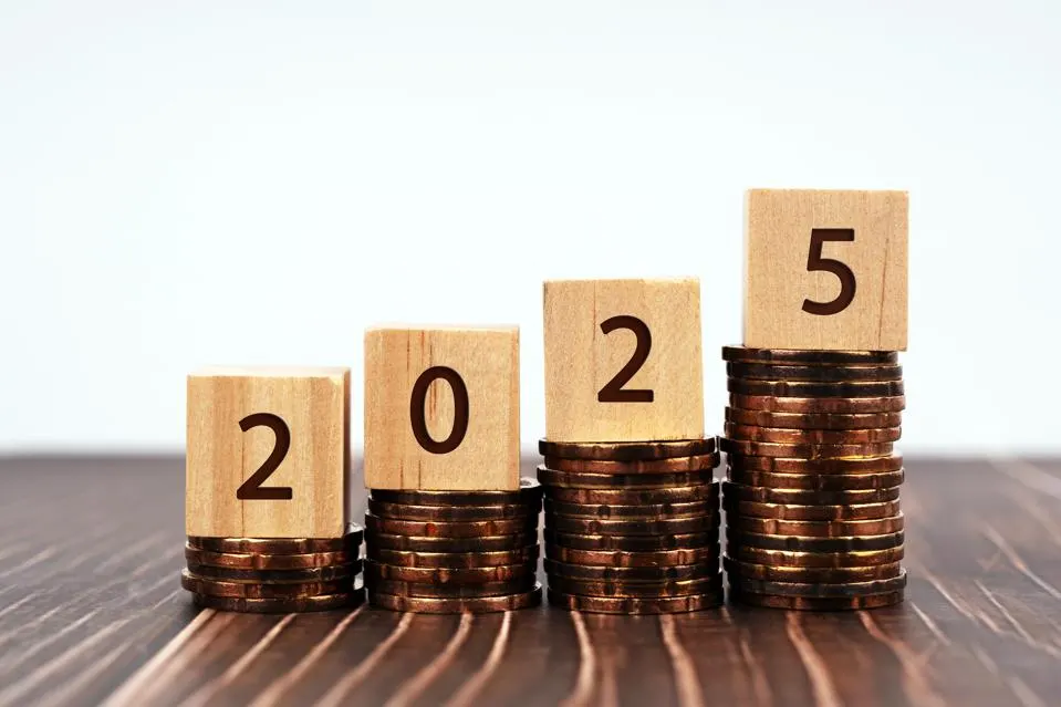Year-End Financial Planning: A Tech-Forward Playbook for 2025 1 Year-End Financial Planning 2025