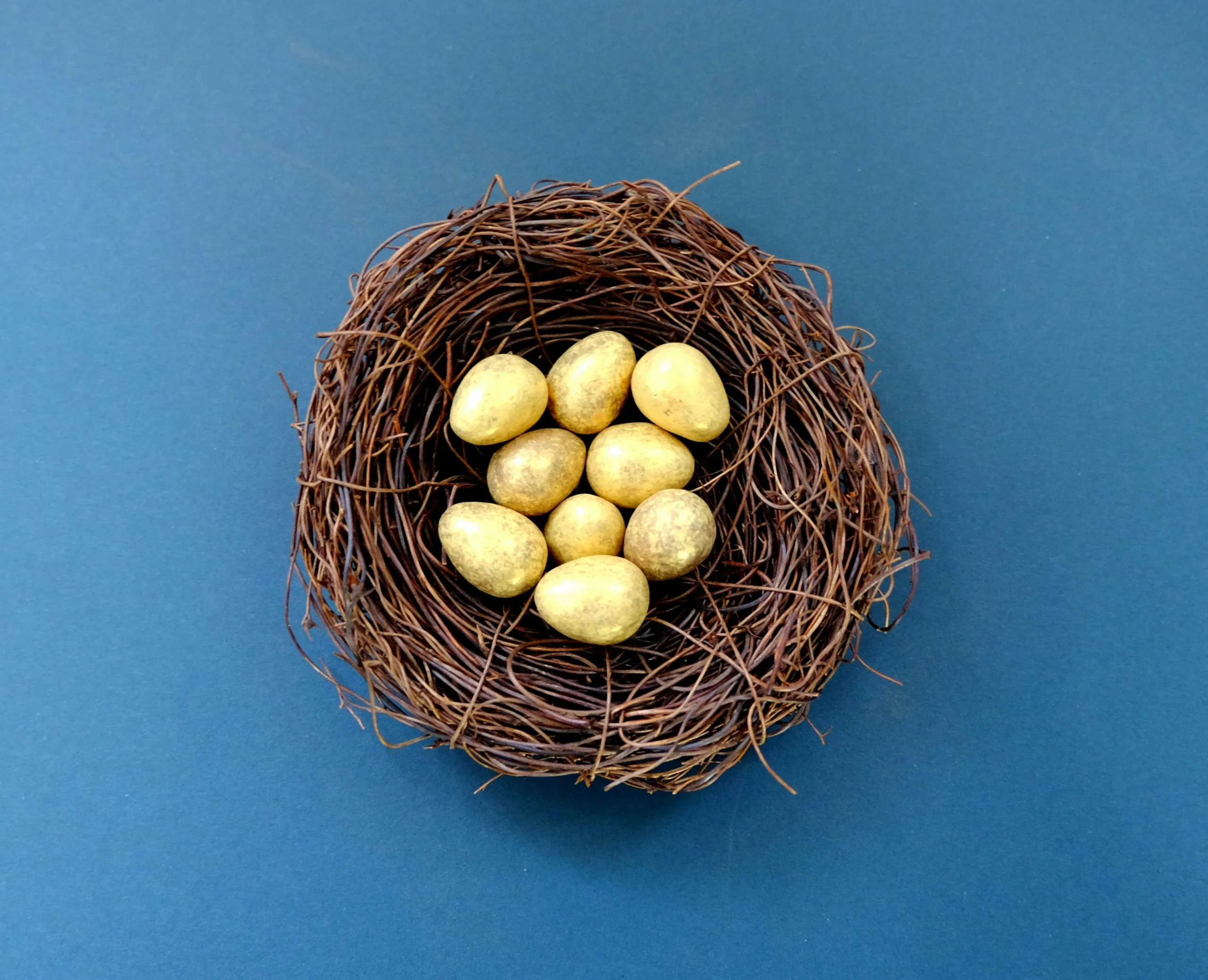 HSA investment strategy 2026: A nest filled with golden eggs placed on a solid blue surface, perfect for Easter themes