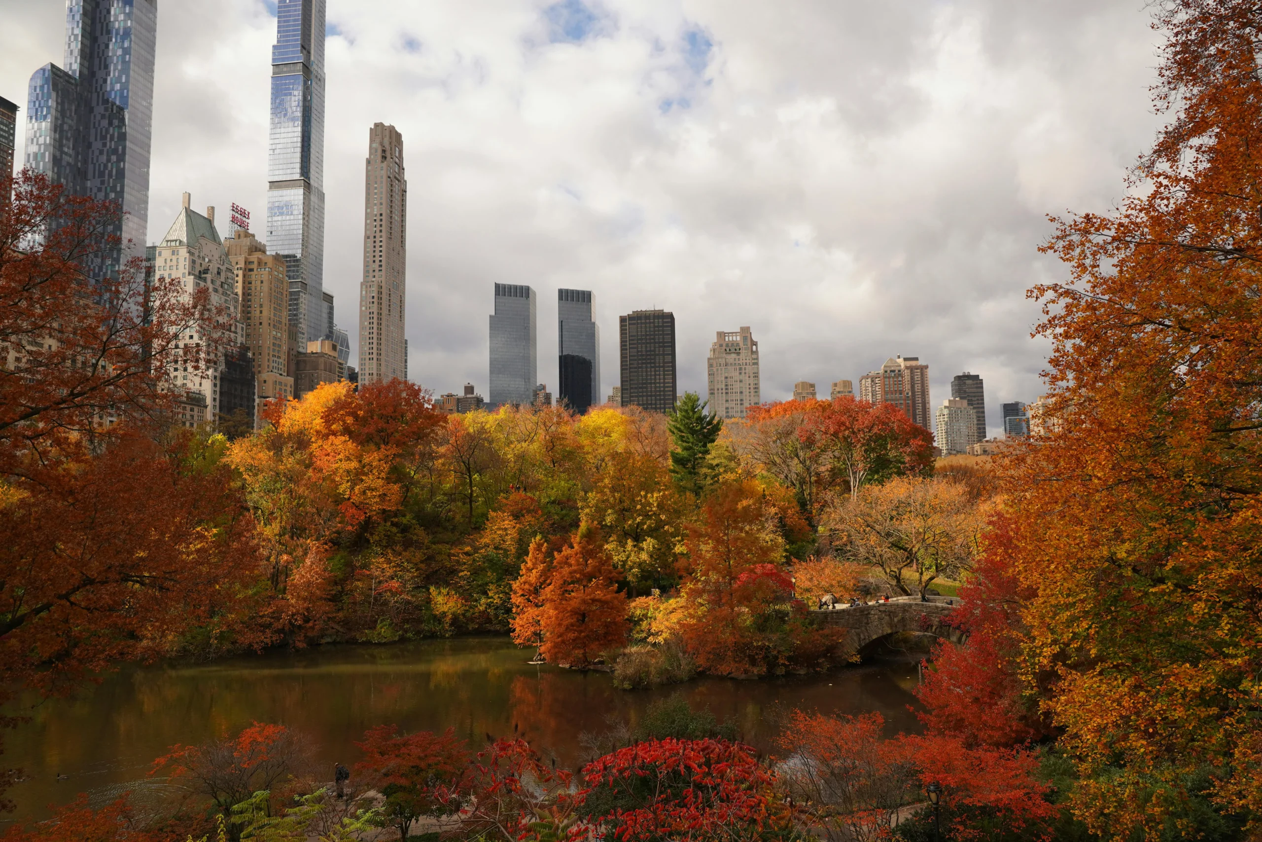tax loss harvesting 2026: Beautiful autumn foliage in Central Park with New York City skyline in the background