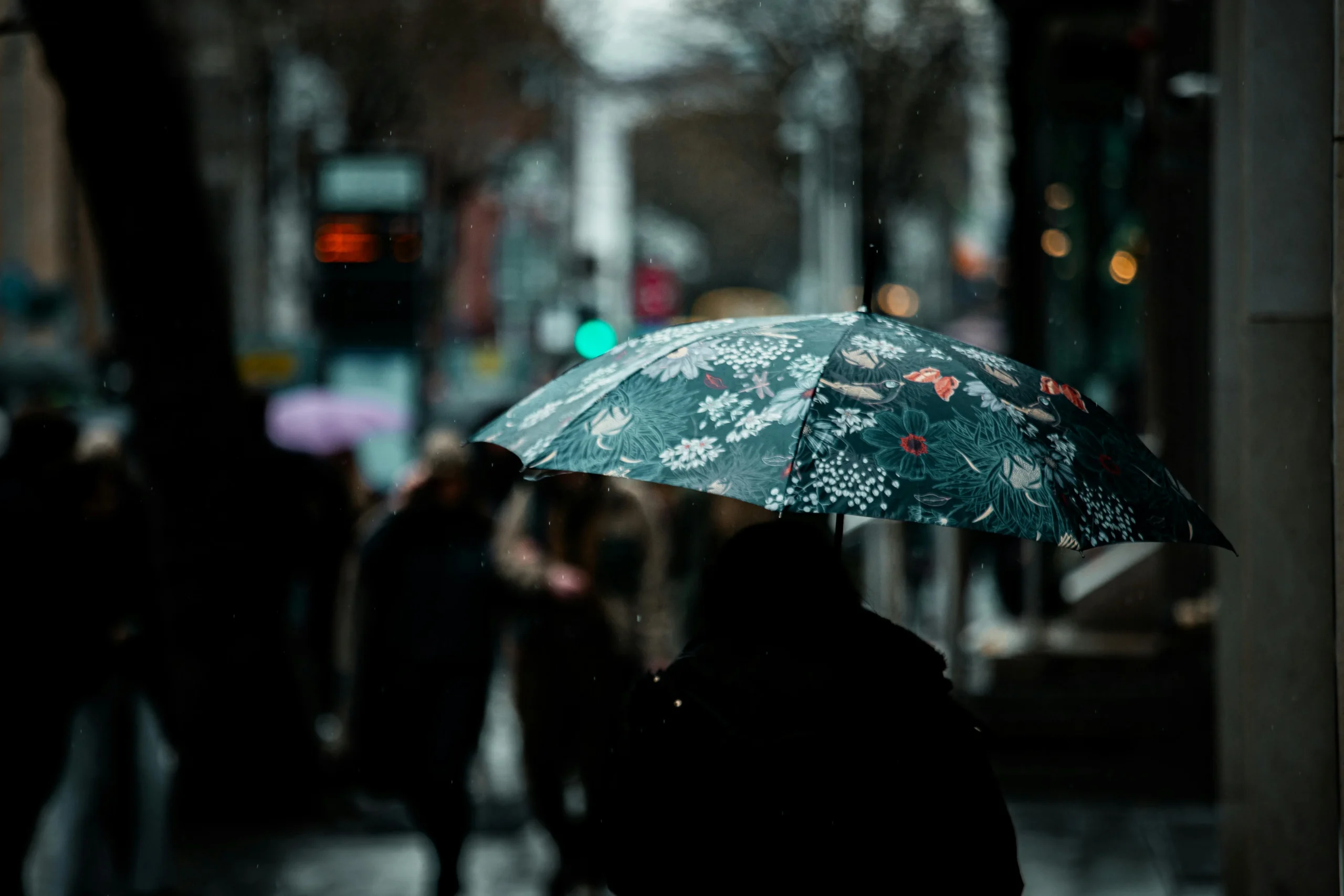 Umbrella Insurance 2026: Ultimate Guide to Protect $Millions 1 umbrella insurance 2026: Silhouette of a lone figure under a floral umbrella on a rainy street in Dublin, Ireland
